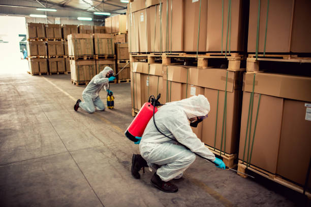 Best Bed Bug Extermination  in Pelion, SC