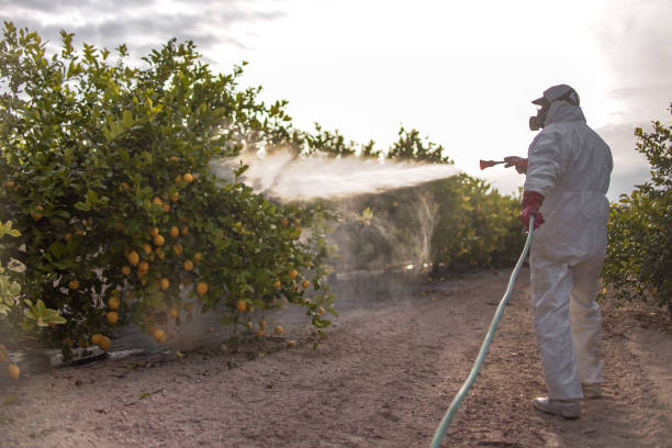 Best Pest Prevention Services  in Pelion, SC