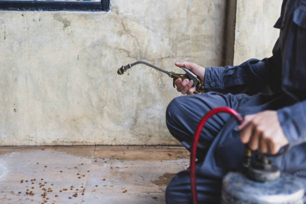 Professional Pest Control in Pelion, SC